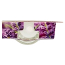 Air Wick Profumatore per Ambienti Lavanda in Fiore Ricarica 19 ml